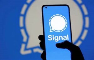 Signal Rising: Why Dutch Universities Are Saying Goodbye to WhatsApp signal