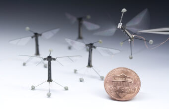 RoboBee Nails the Landing: Biomechanics, Madness, and Microbots in the Garden of Technological Delights robobee Harvard