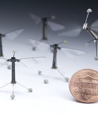 RoboBee Nails the Landing: Biomechanics, Madness, and Microbots in the Garden of Technological Delights robobee Harvard